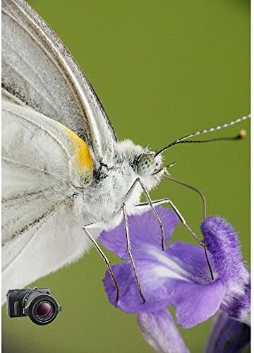 Raynox DCR-250 Super Macro Snap-On Lens - Image 4